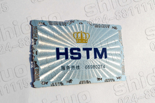 HSTM